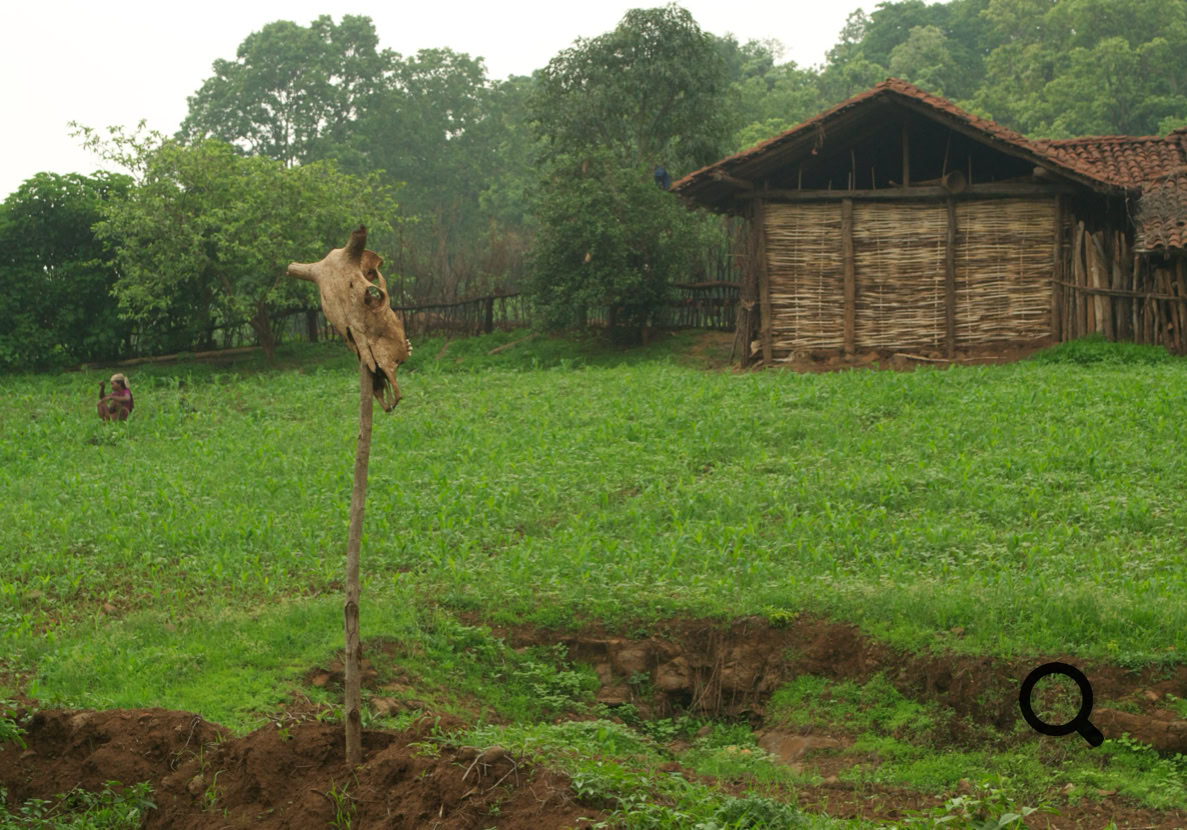 The Baigas of Eastern Madhya Pradesh